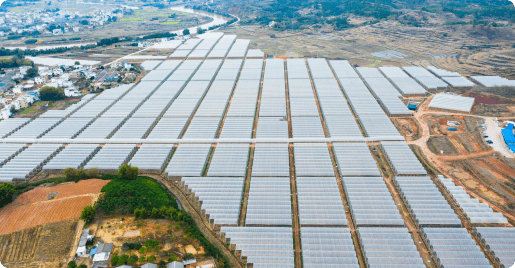 �㶫��Դ����õ������й�