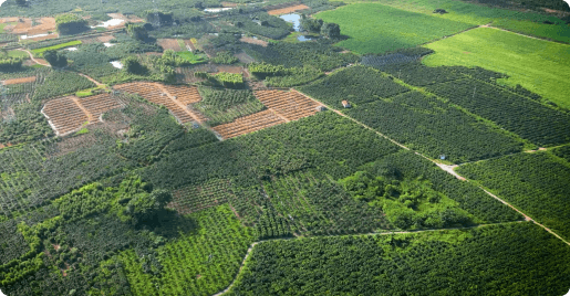 �Ĵ�ǧĶ���������йܻ���